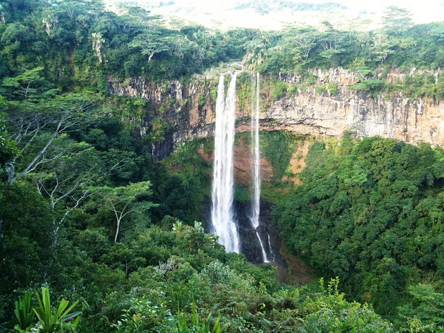 chutes d'eau des Tamarins